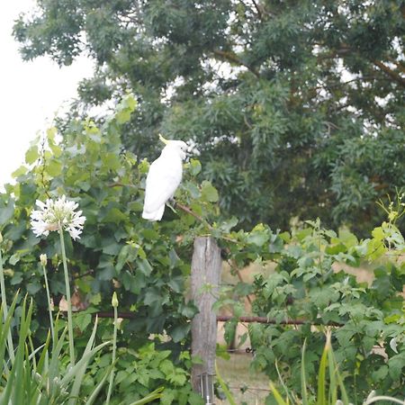 Amble At Hahndorf Bed & Breakfast Bagian luar foto