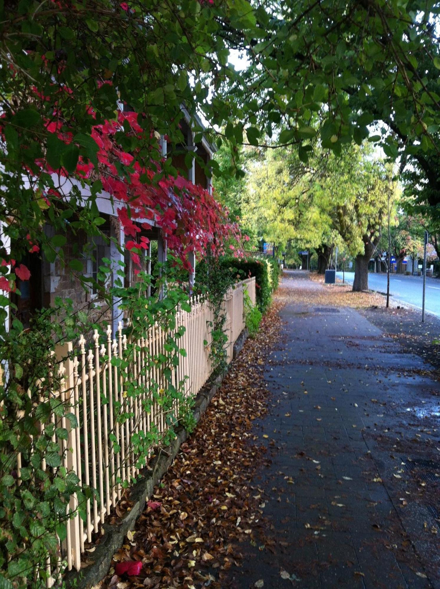 Amble At Hahndorf Bed & Breakfast Bagian luar foto