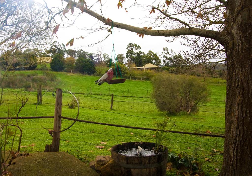 Amble At Hahndorf Bed & Breakfast Ruang foto