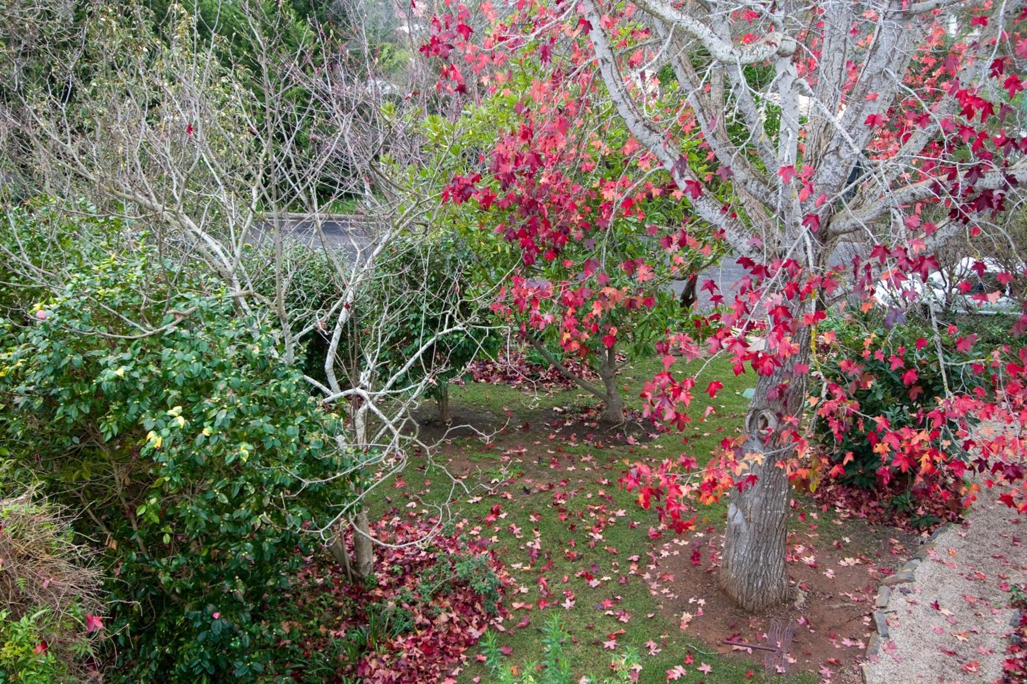 Amble At Hahndorf Bed & Breakfast Bagian luar foto