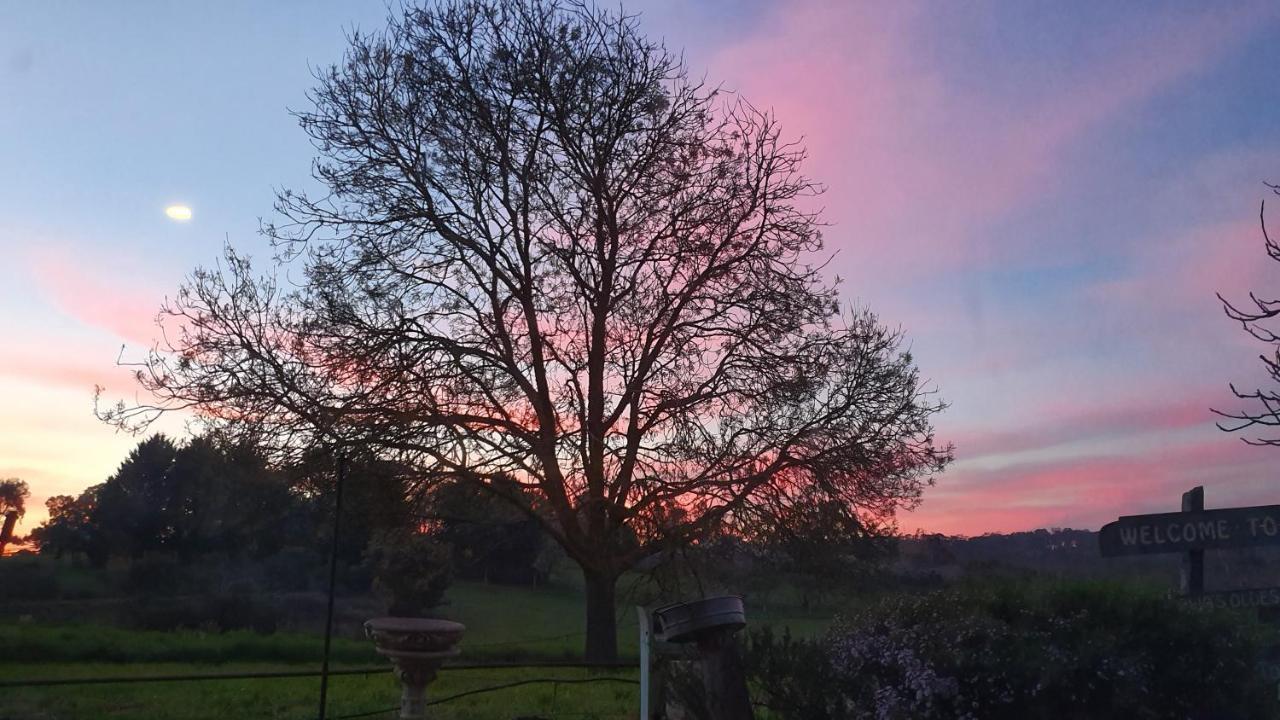 Amble At Hahndorf Bed & Breakfast Bagian luar foto