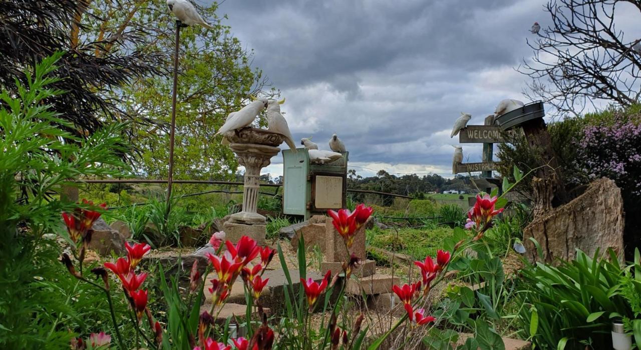 Amble At Hahndorf Bed & Breakfast Bagian luar foto