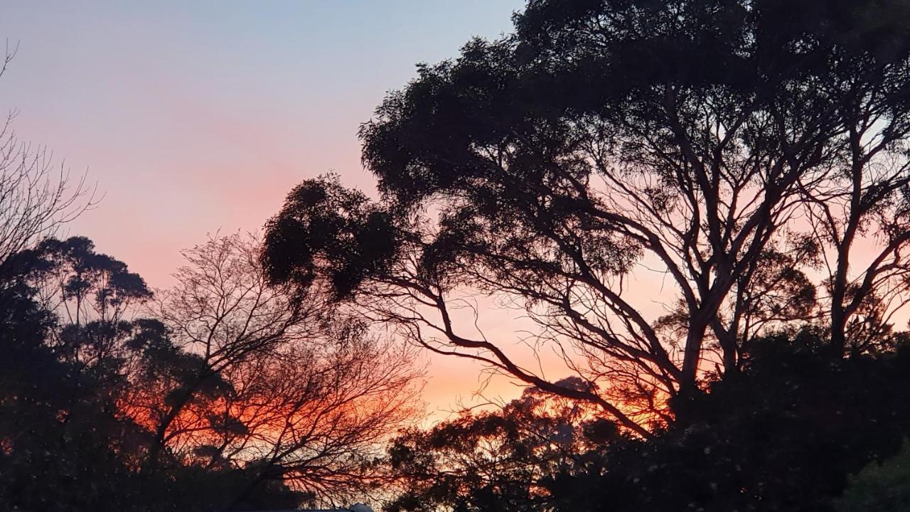 Amble At Hahndorf Bed & Breakfast Bagian luar foto