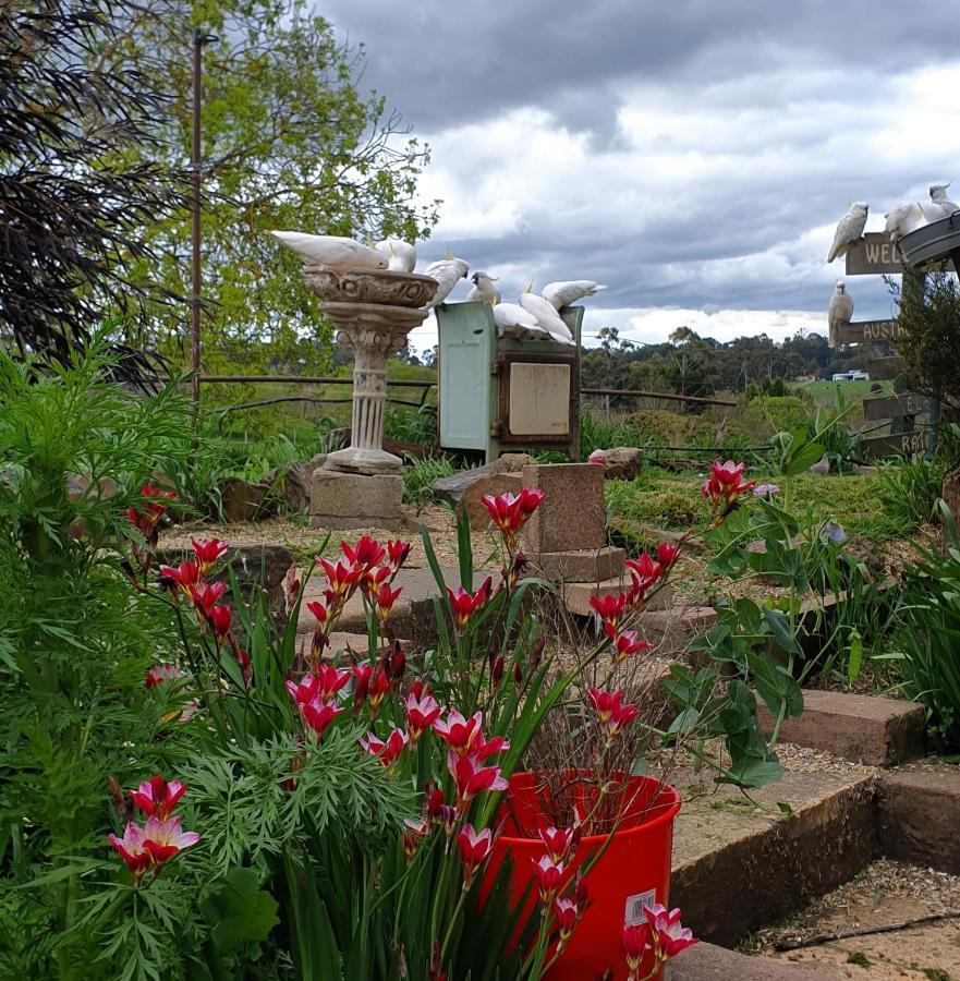 Amble At Hahndorf Bed & Breakfast Bagian luar foto